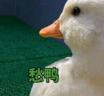 DƬ